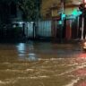 Delhi schools closed on Thursday due to heavy rainfall; IMD warns of continued heavy rains till August 5 | India News