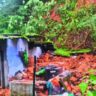 Heavy rain wreaks havoc in Uttarakhand, 3 killed as house collapses | India News