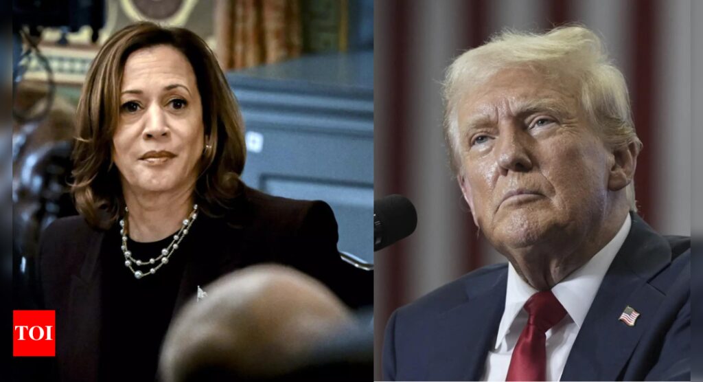 'Americans deserve better': Harris hits back at Trump's 'Indian or Black' comment