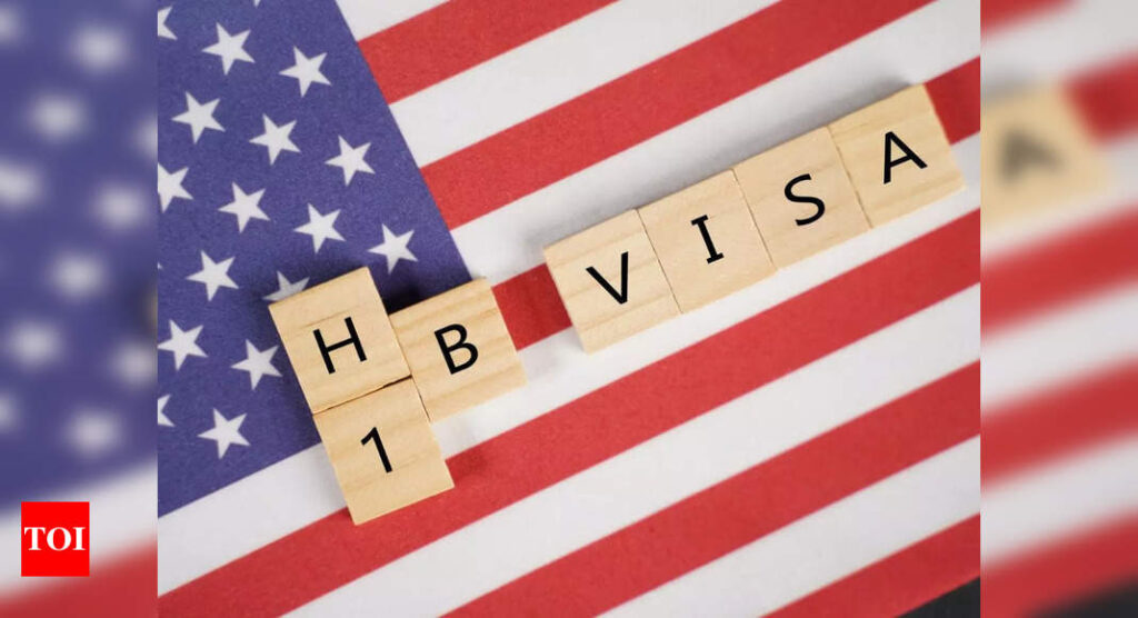 How some companies manipulated the H-1B visa lottery