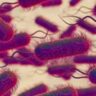 Legionnaires' disease outbreak: Australia's Victoria reports 71 confirmed cases