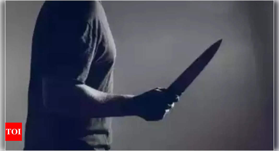 Stab: Man stabs wife, uploads video | Bengaluru News