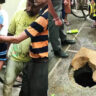 Manhole: Seven-year-old boy falls into manhole covered with cardboard | Delhi News