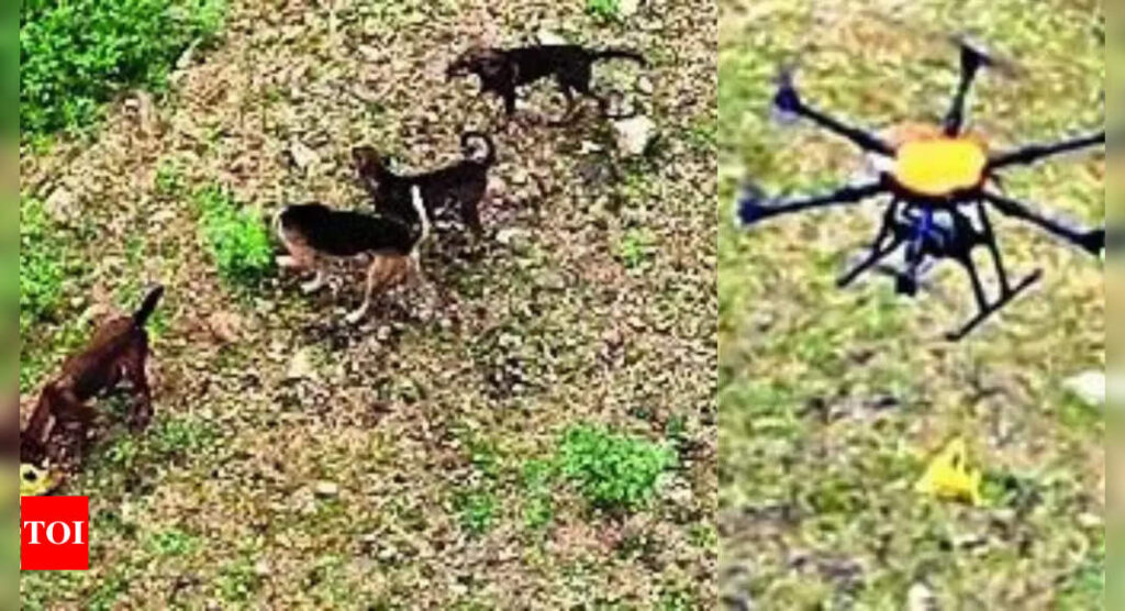 Drones to the rescue: Biryani airdropped to trapped dogs near Mettur Dam in Tamil Nadu | Salem News