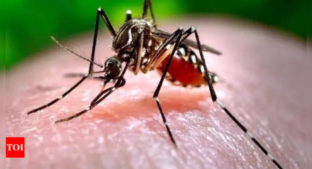 Albopictus, mosquito that caused dengue surges in 1950s, back in Kolkata | Kolkata News