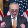 Schumer predicts senate victory for Democrats with Harris as frontrunner