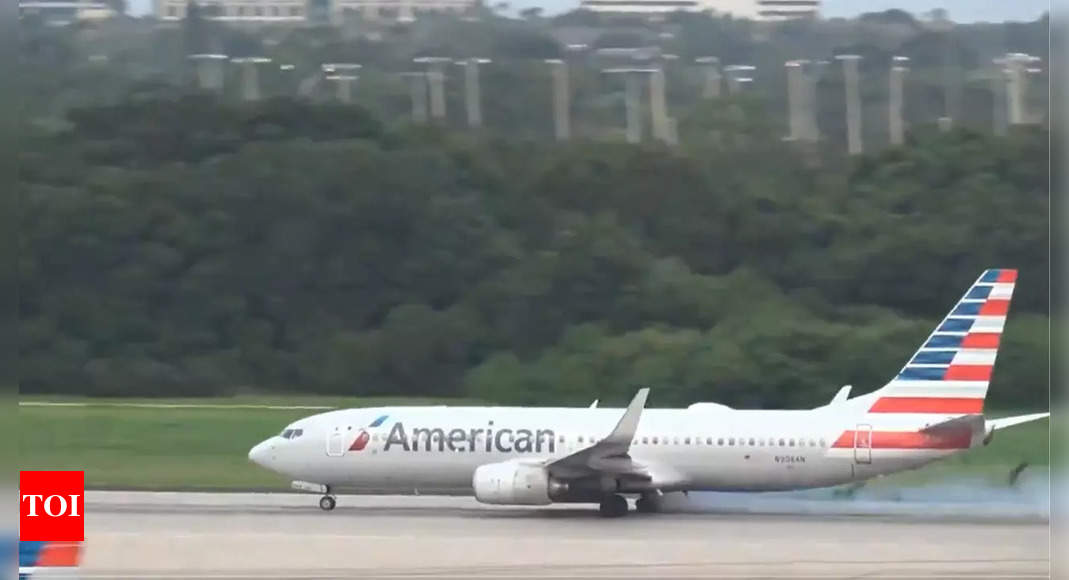 Passenger spots lice crawling in woman’s hair mid-air, forces American Airlines emergency landing