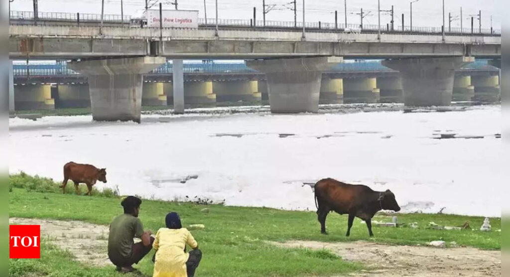 High-level committee tweaks timelines for Yamuna projects in Delhi | Delhi News