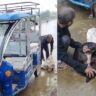 Stray Dogs: Police rescue six strays tied in sacks from being thrown off bridge | Bhopal News