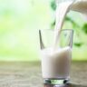 That is the best technique to drink milk (ideas for lactose intolerants and others)