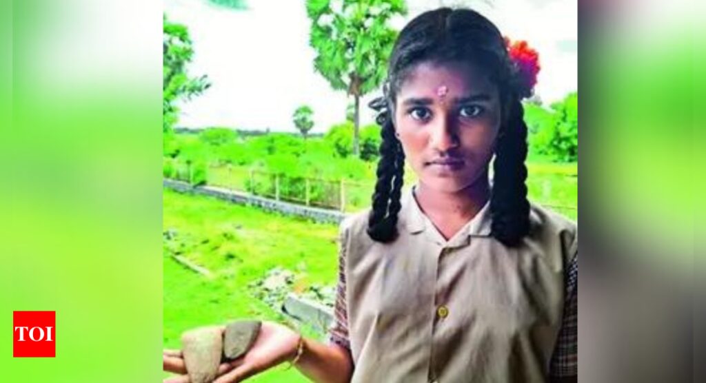 Clearing patch of land in TN, 2 schoolgirls find 2 neolithic axes | India News