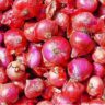 India exported 2.6 lakh tonne onions in Apr-July