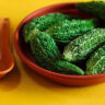 8 Meals to keep away from pairing with bitter gourd (karela) – Occasions of India