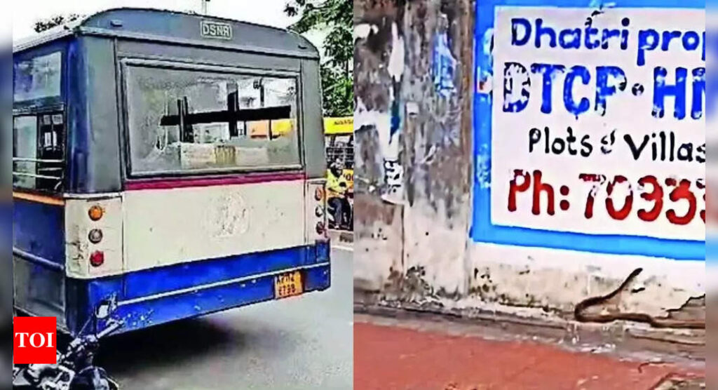 In Hyderabad, drunk woman hurls liquor bottle as bus fails to stop, throws snake at conductor | Hyderabad News