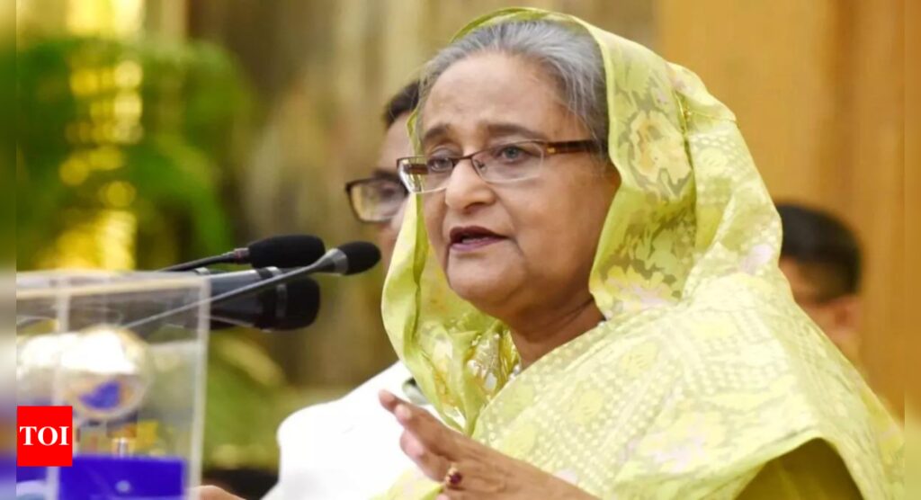 'She is most-wanted person ... ': BNP says Hasina's stay in New Delhi will not be seen in 'good light' in Bangladesh