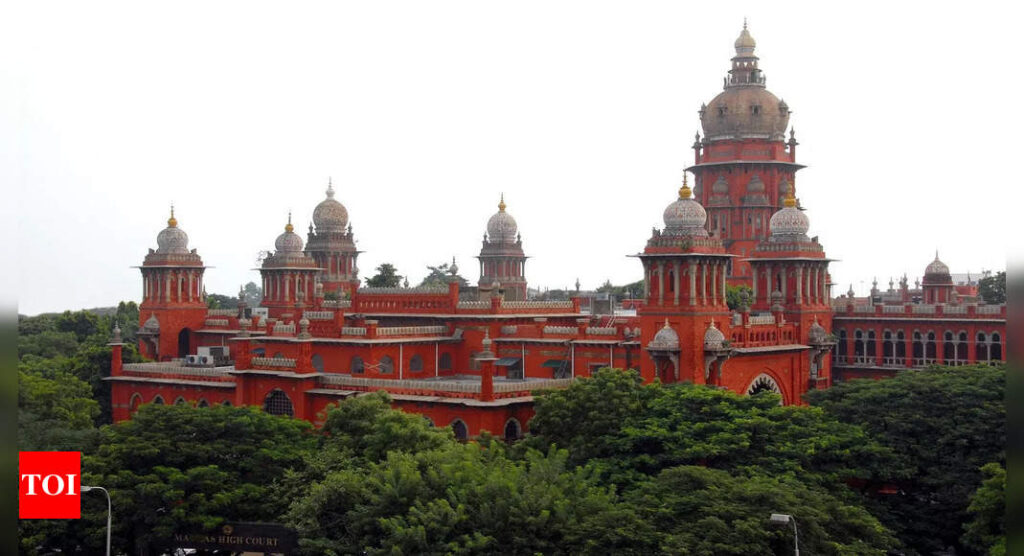 Madras HC orders YouTuber’s release | India News