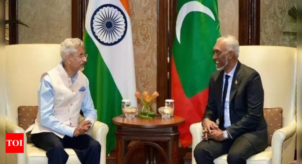 India to introduce UPI services in Maldives | India News