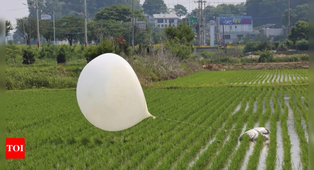 North Korea launches more trash balloons towards South Korea: Seoul military