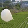 North Korea launches more trash balloons towards South Korea: Seoul military