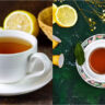 What’s the distinction between Tea and Tisane – Occasions of India