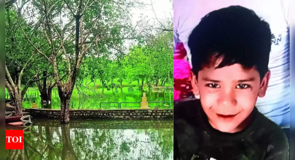 Delhi's death traps: Seven-year-old drowns in city park, third such death in one day | Delhi News