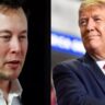 'Am going to do system scaling tests': Musk reveals plan ahead of his interview with Trump