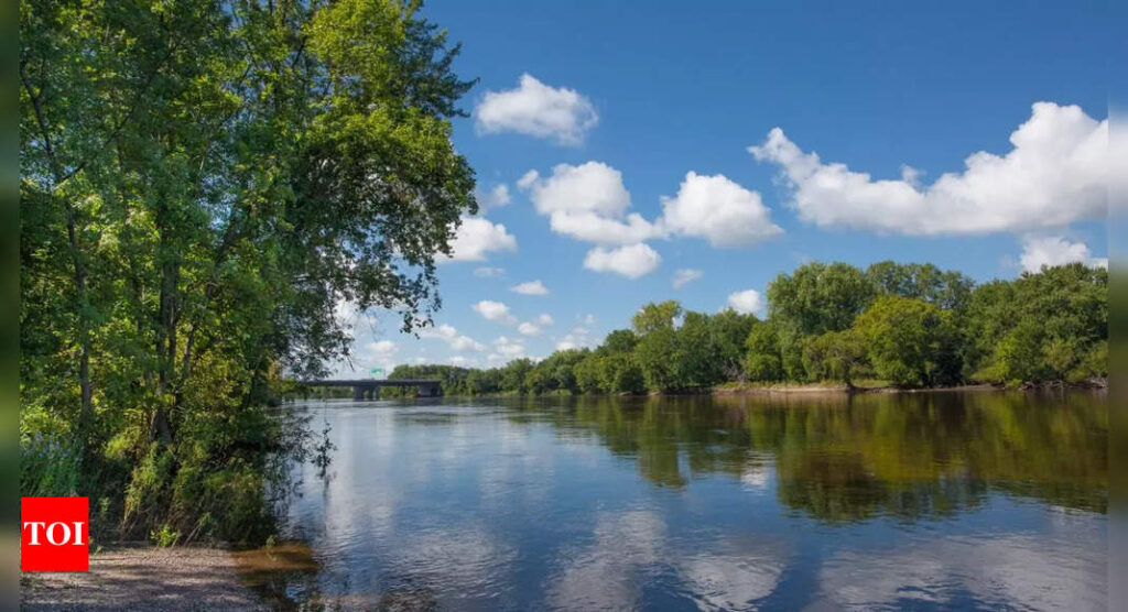 The river that changed American history: The Mississippi’s role in shaping a nation | World News